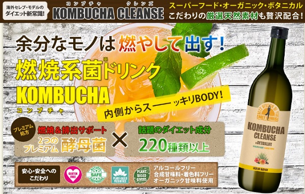 kombucha